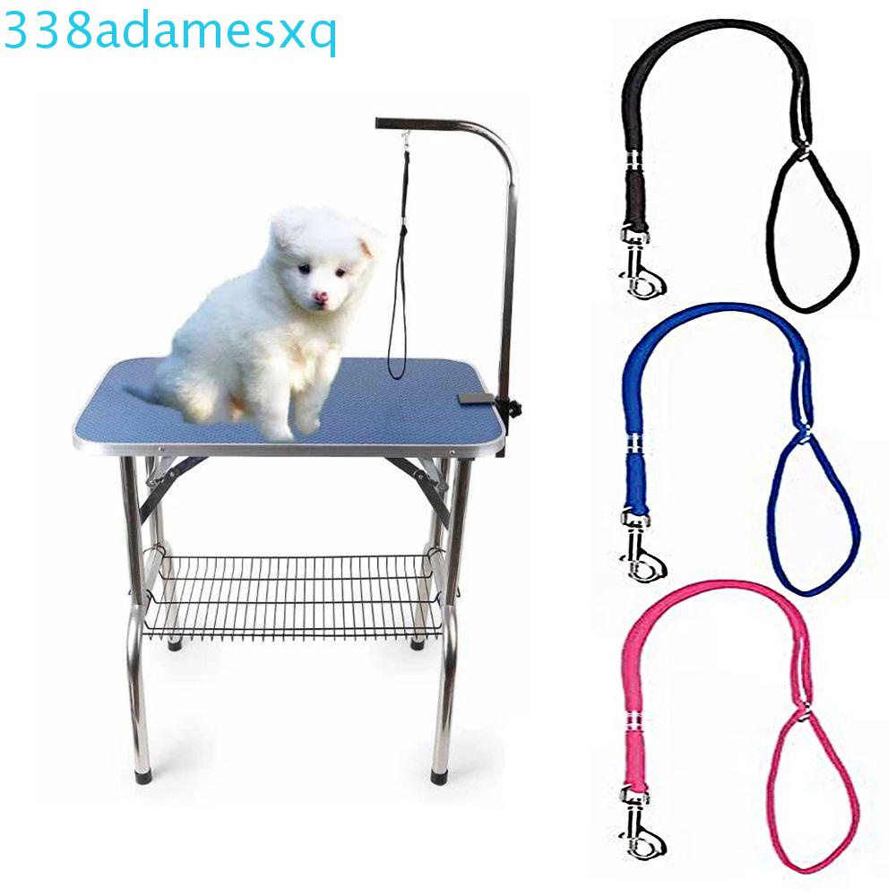Dây Dắt Thú Cưng Đi Dạo An Toàn Tiện Lợi