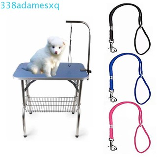 Dây dắt thú cưng đi dạo an toàn tiện lợi