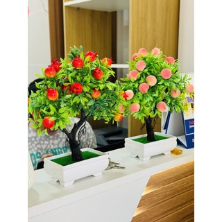 Cây đào giả để bàn - Chậu cây lựu đào, cây quýt giả decor nội thất trang trí để bàn, nhà cửa, sân vườn