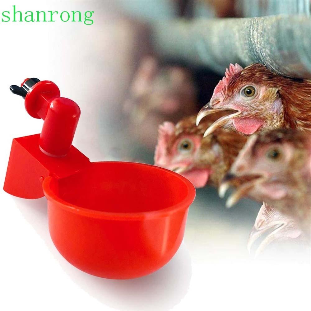 Cốc Uống Nước Có Van Điều Khiển Tự Động Sức Chứa Lớn Cho Gà Chim Bồ Câu