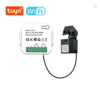Tuya Wifi Energy Meter Solar PV System Power Monitor - Monitor Power Production and Consumption with CT and Mobilephone APP Control