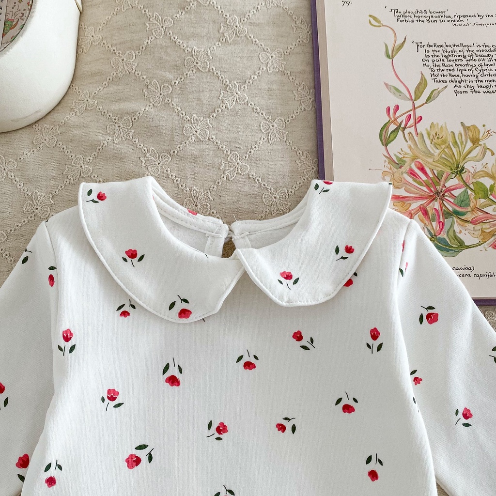 Áo Thun Tay Dài In Hình Thỏ peter pan Dễ Thương Thời Trang Mùa Thu Cho Bé Sơ Sinh 0-2 Tuổi