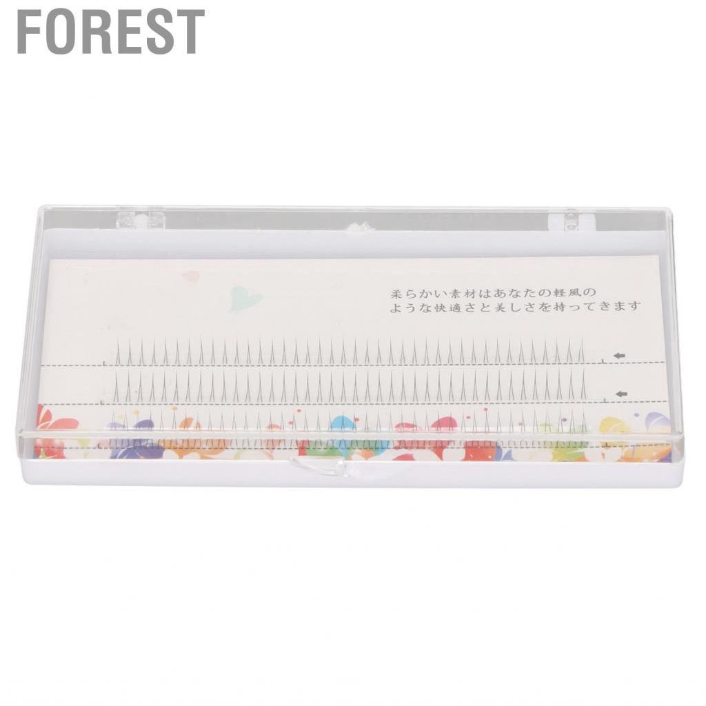 Forest V Shaped Lower Lashes Bottom