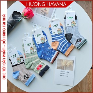 Tất vớ trẻ em cổ ngắn chất cotton cho bé trai bé gái từ 1-4 tuổi, 4-8 tuổi, 8-12 tuổi họa tiết đại dương KPT05