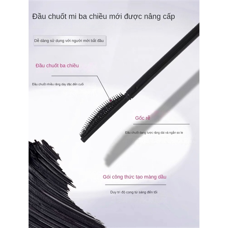 Chuốt mi Mascara GOGO TALES đầu lược chống nước lâu trôi GT589
