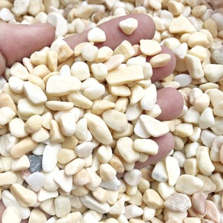 Sỏi trang trí sen đá các loại (1kg)