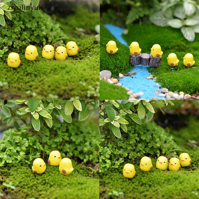 Ziyulinyuk Set 5 Mô Hình Chú Gà Con Màu Vàng mini Trang Trí Tiểu Cảnh / Vườn / Nhà Búp Bê diy