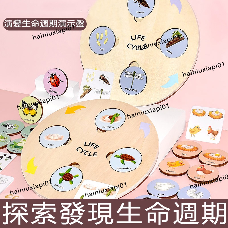 Montessori Life Cycle Board Plant Animal Cycle Change Wooden Khai sáng Đồ chơi trẻ em Giáo dục Giáo 