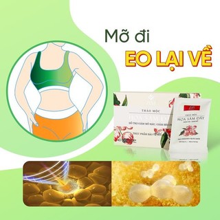 (Chính hãng) Giảm cân hoa sâm đất
