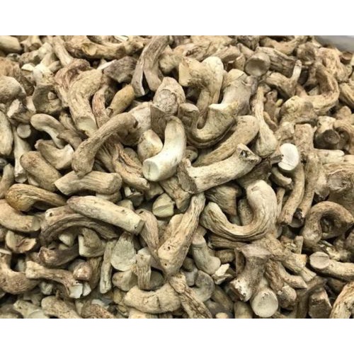 CHÂN NẤM TO 100GR - LOẠI 1