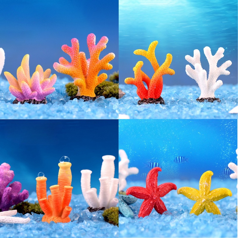 San Hô Trang Trí Bể Cá