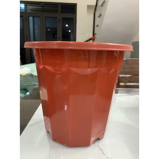Chậu nhựa trồng cây, chậu ươm cây màu nâu e230, e280, e300 hàng công ty dày đẹp