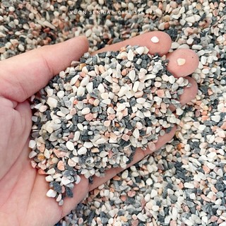 Sỏi trang trí sen đá các loại (1kg)