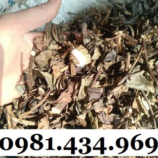 Ngon - cây bầu đất khô 01kg hàng rừng chuẩn