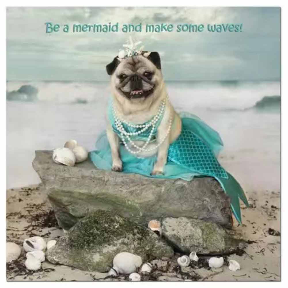 Pugs and Kisses 2024 Calendar Dog Breed Wall Calendar Month to View Calendar