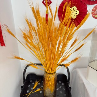 Bông Lúa Mạch Khô Decor Trang Trí Bó 100 Cành.