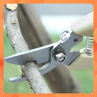 ☘️Kéo cắt cành, kéo tỉa cây không rỉ giá rẻ V-5.4