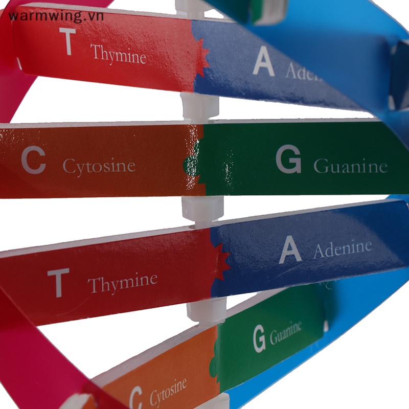 Đồ Chơi Giáo Dục Mô Hình Thí Nghiệm Khoa Học Ấm Áp dna