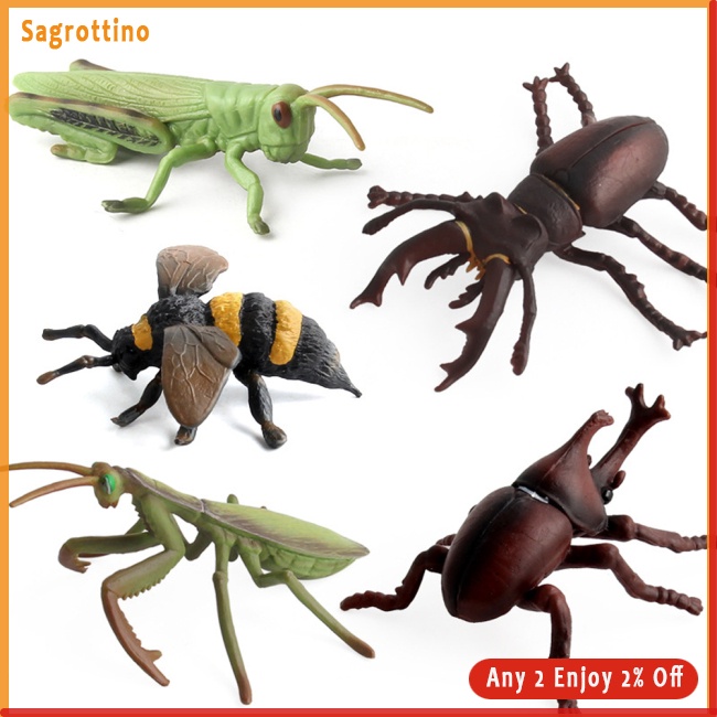 Sag Mô Hình Côn Trùng Bướm Sống Động Như Thật Cho Bé