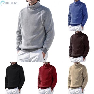 Men's Sweater Regular Slim Fit Turtleneck Winter Warm Workwear Business