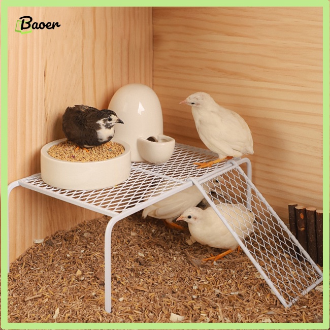 Kệ Lưới Để Gà 100% Bằng Thép Không Gỉ Tiện Dụng