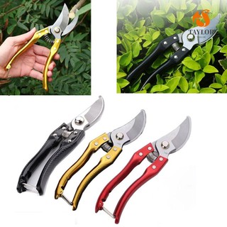 Taylor1 Kéo Cắt Tỉa Trái Cây Chuyên Nghiệp 8 inch
