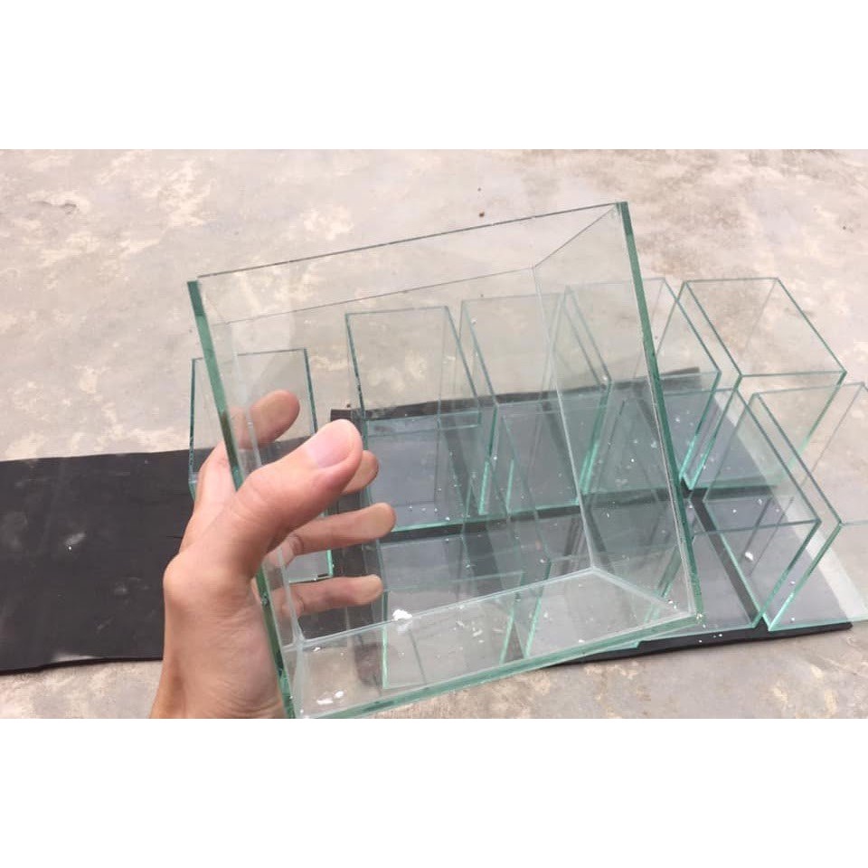 Bể cá mini BỂ CÁ BETTA Hồ Cá Vuông Để Bàn HV 18x12x15 - Bể Cá Mini bảo hành bễ vỡ - Giao nhanh 2h.