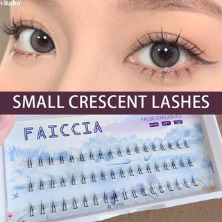 🌷🌷Mi giả mềm tự nhiên, từng chùm mi có gốc mi mượt