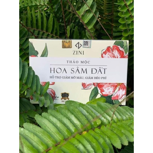 (Chính hãng) Giảm cân hoa sâm đất
