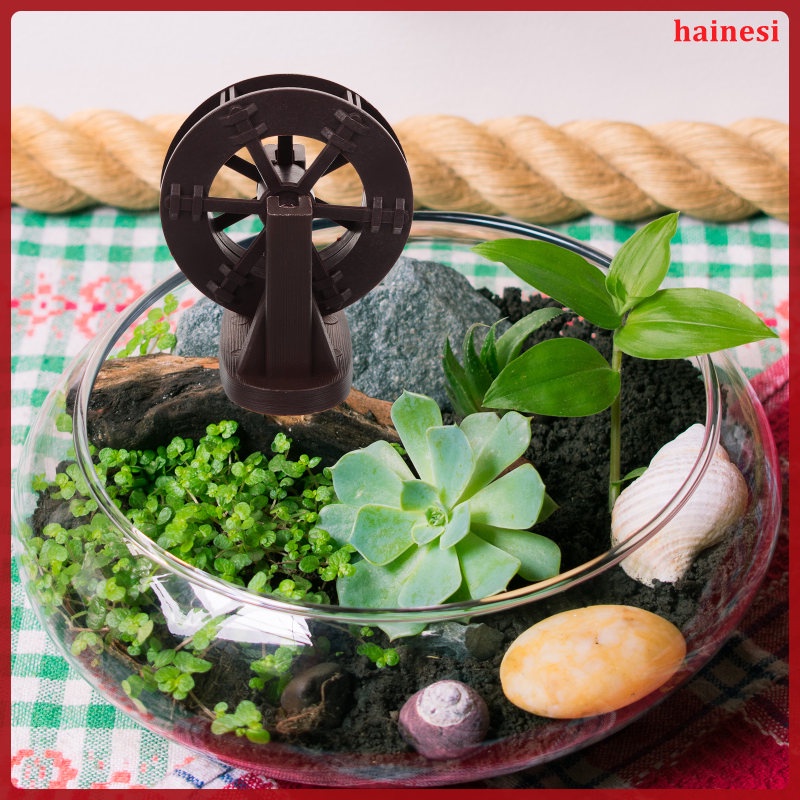 Bánh Xe Lăn Phun Nước Trang Trí Bể Cá Cảnh hainesi