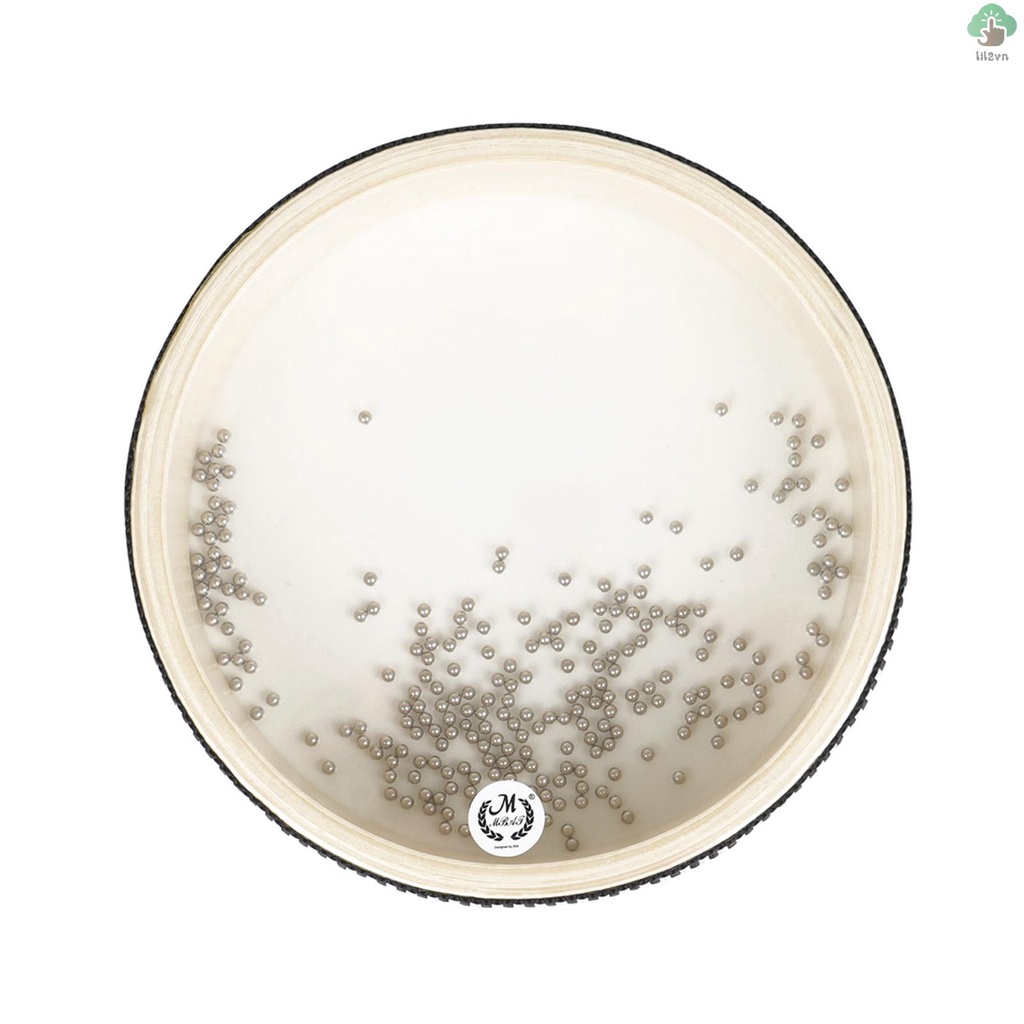 Trống Lượn Sóng Màu Sắc Tự Nhiên Trong Suốt 6 inch Dành Cho Trẻ Em