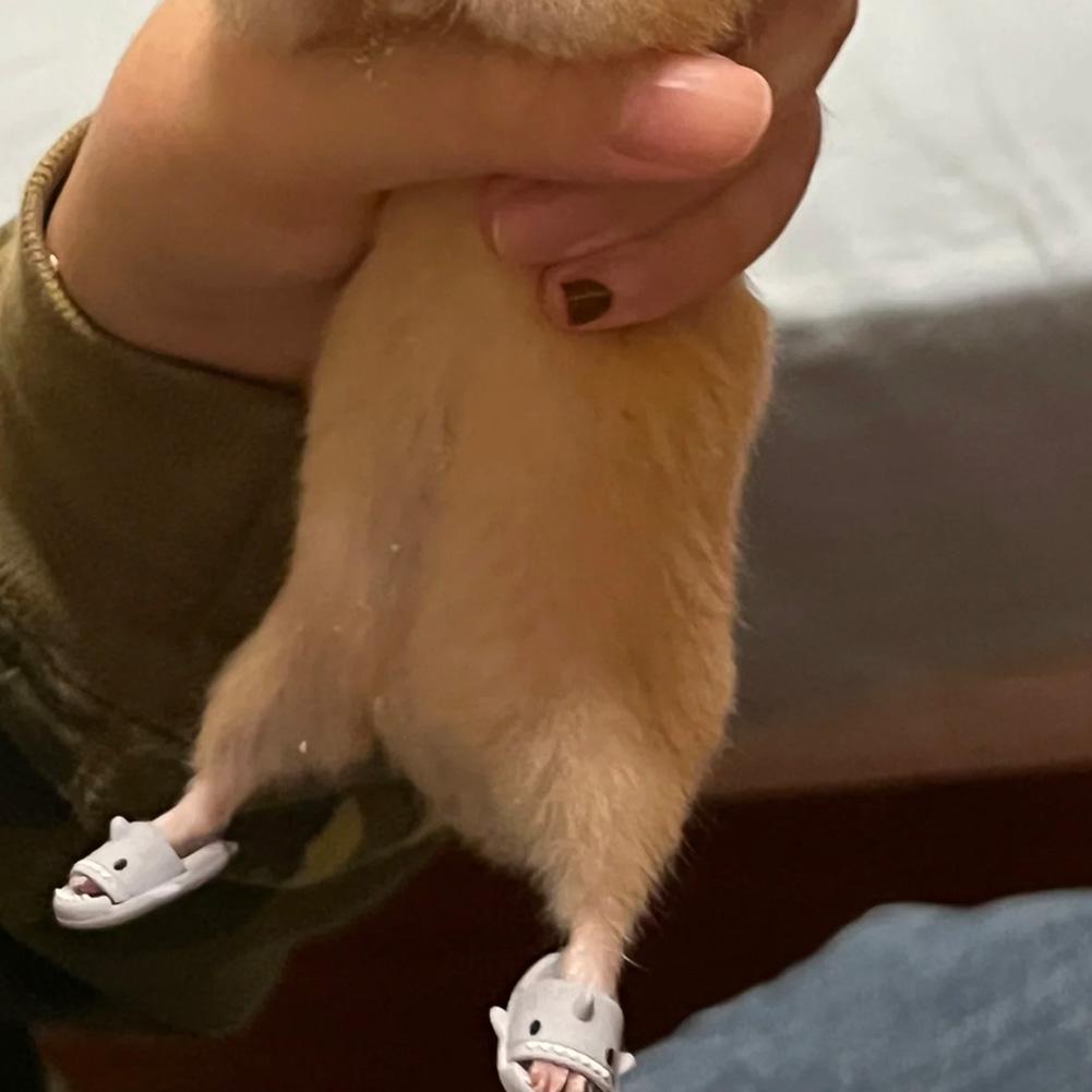 Dễ Thương Dép Bông Đi Trong Nhà Hình Cá Mập / Chuột hamster / Cá Mập Đáng Yêu Cho Bé u6i8
