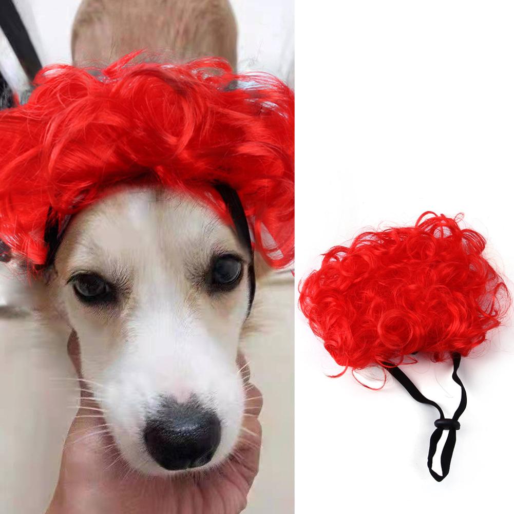 Bộ Tóc Giả Ngắn Xoăn Dành Cho Thú Cưng y4c9