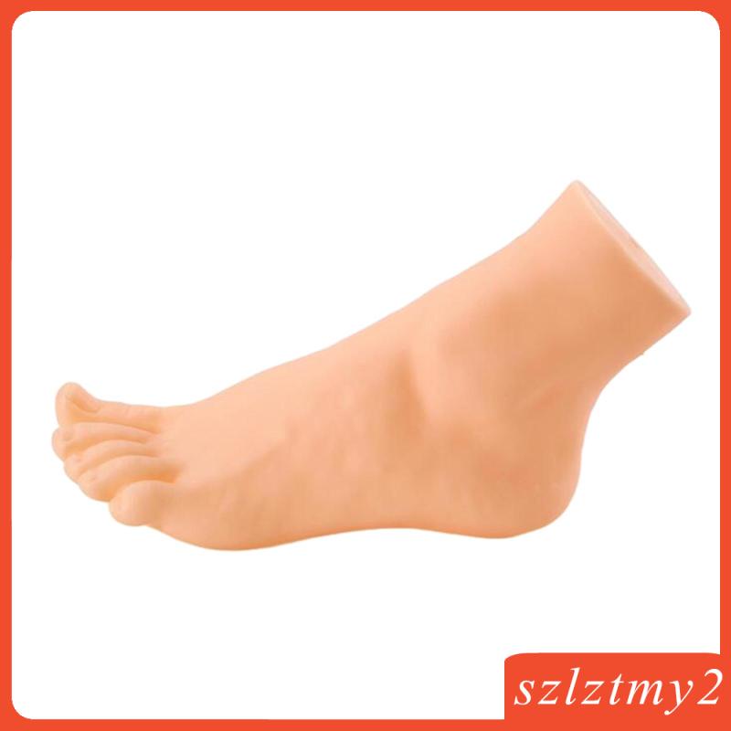 Mô Hình Bàn Chân Ma Nơ Canh Trọng Lượng Nhẹ Trưng Bày Vớ