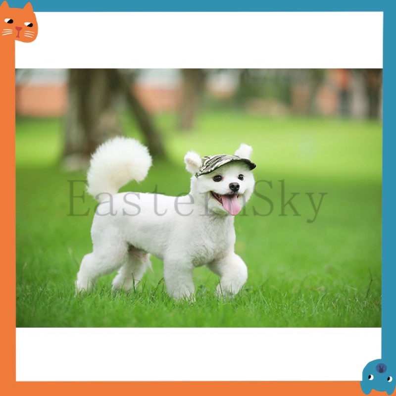 Nón Lưỡi Trai Vải Canvas 12 Kiểu Cho Thú Cưng