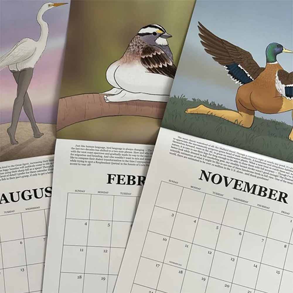 2024 Calendar Of Extremely Accurate Birds | Decorative Wall Monthly Calendars