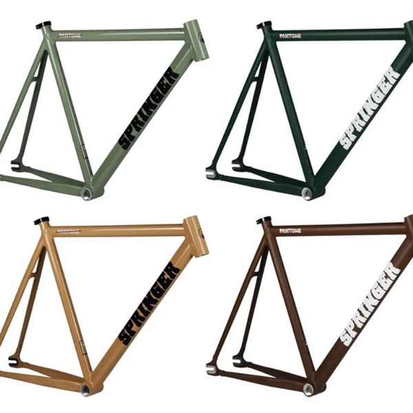 Khung Fixed Gear Springer Pantone không càng