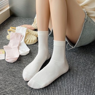 TẤT CAO CỔ 3 MÀU