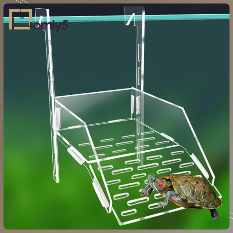 Bệ Đứng Thư Giãn Treo Bể Nuôi Rùa / Rùa / Ếch / Rùa