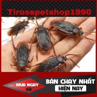 [❌GIÁ SỈ❌] Một con Gián - Rết - Bò Cạp như thật | Đồ Chơi Prank  ❤️
