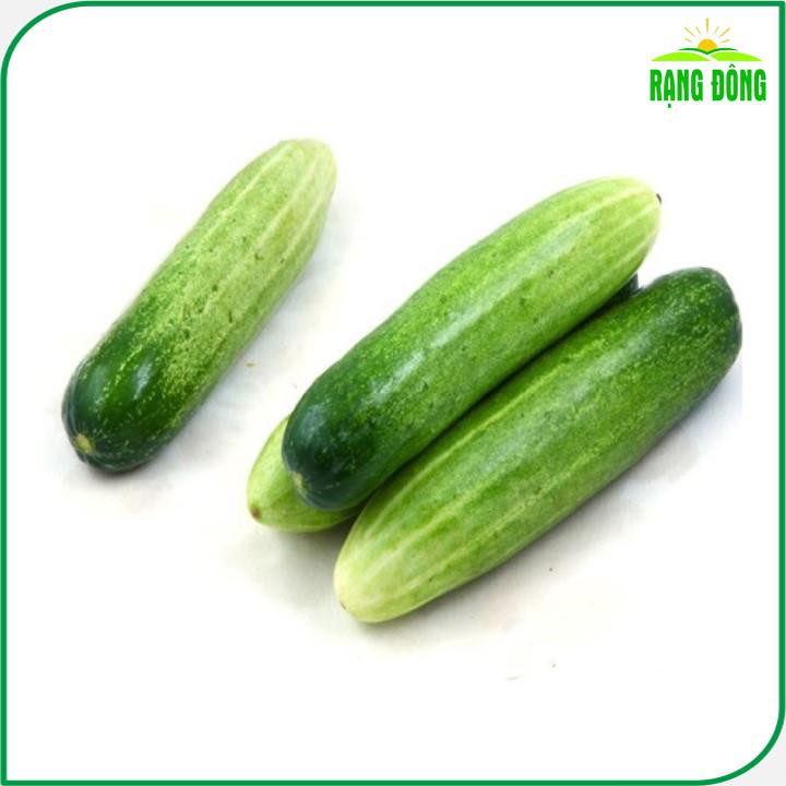 Hạt giống Dưa Leo Lai F1 trái dài, giòn ngọt, đậu quả sai gói 25 hạt