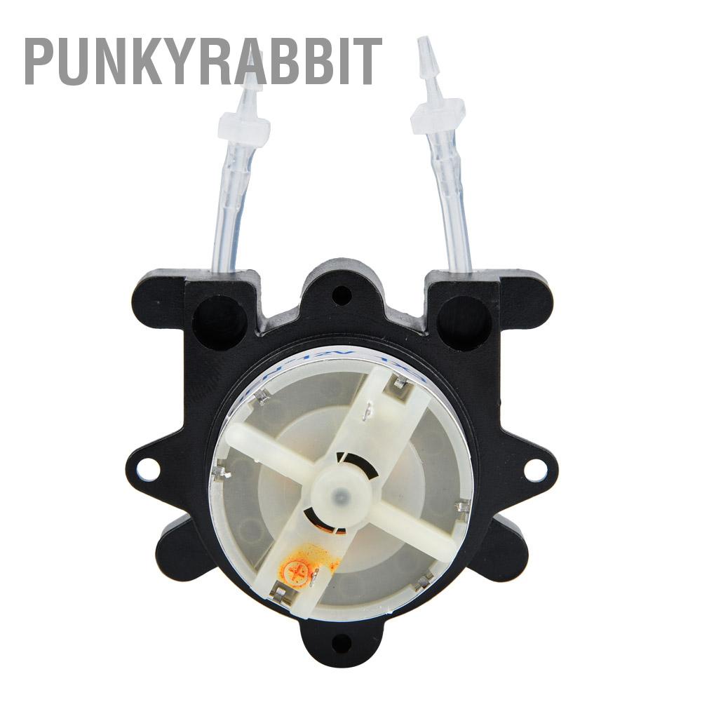 PunkyRabbit Bơm nhu động mini chất lượng cao cho phòng thí nghiệm kỹ thuật sinh học G528 DC12V