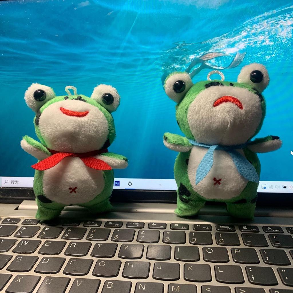 Móc Khóa Mèo Khóc Nhồi Bông Dễ Thương, Móc Khóa Dưa Hấu Ghi Âm Meme Dễ Thương