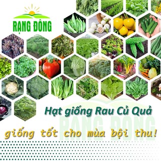 Hạt giống Rau Củ Quả trồng chậu, rau ăn lá, dây leo trồng quanh năm, nảy mầm tốt - Hạt giống Rạng Đông - Hạt Giống Tốt