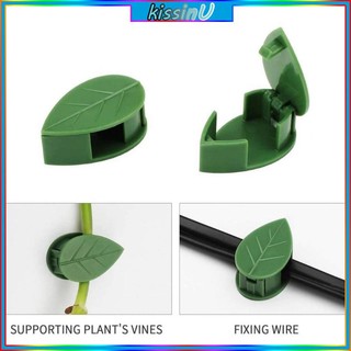 Set 10 kẹp dây leo bằng mây treo tường vô hình