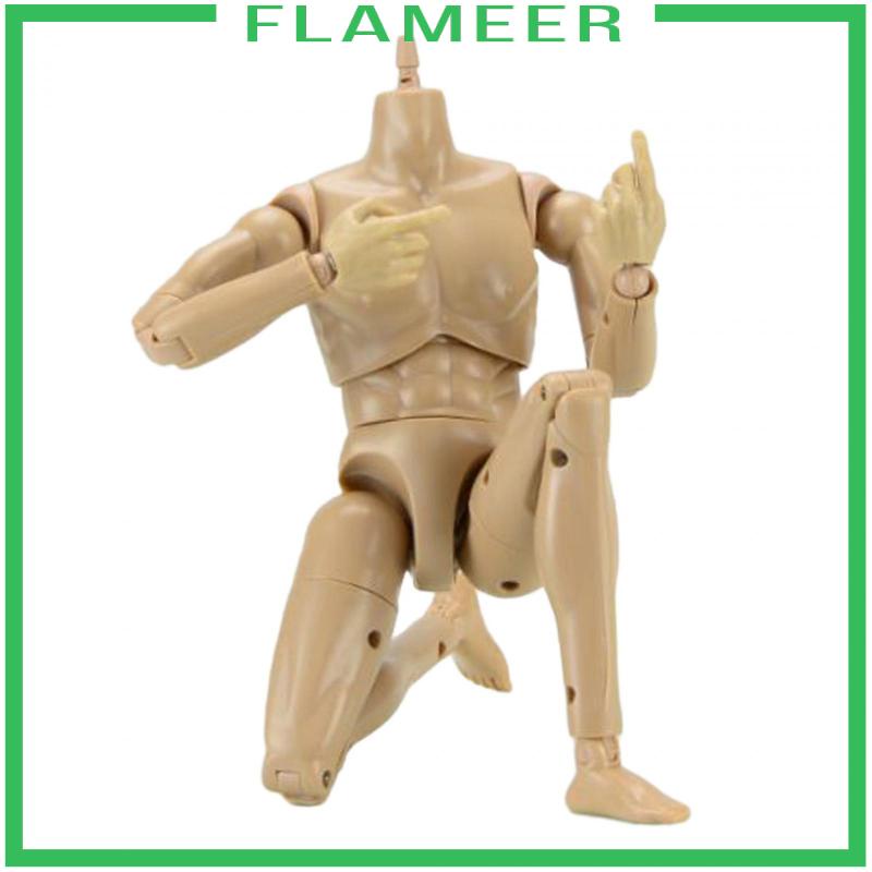 Mô Hình Cơ Thể Nam 12 inch Tỉ Lệ 1 / 6