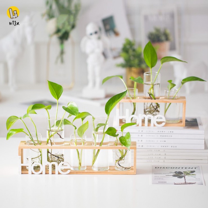 Kính Bình Hoa Thủy Tinh Trong Suốt Khung Gỗ Để Bàn Sáng Tạo Trang Trí Nhà Cửa / Quán Cà Phê