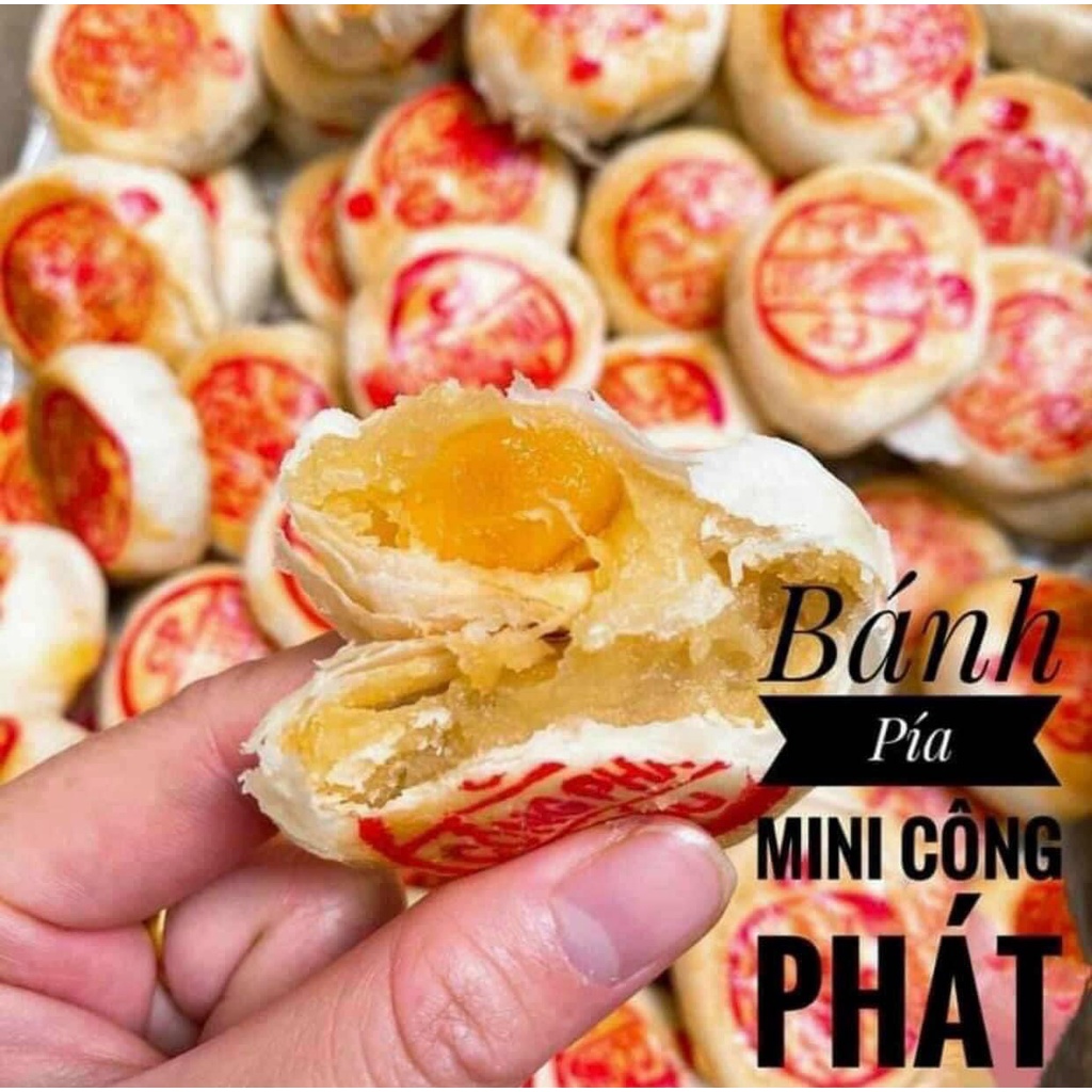 10 CÁI BÁNH PÍA SẦU RIÊNG MINI