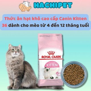 Hạt thức ăn khô Royal Canin Kitten 36 dành cho mèo nhỏ dưới 12 tháng tuổi - túi 1kg