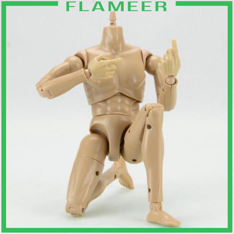 Mô Hình Cơ Thể Nam 12 inch Tỉ Lệ 1 / 6